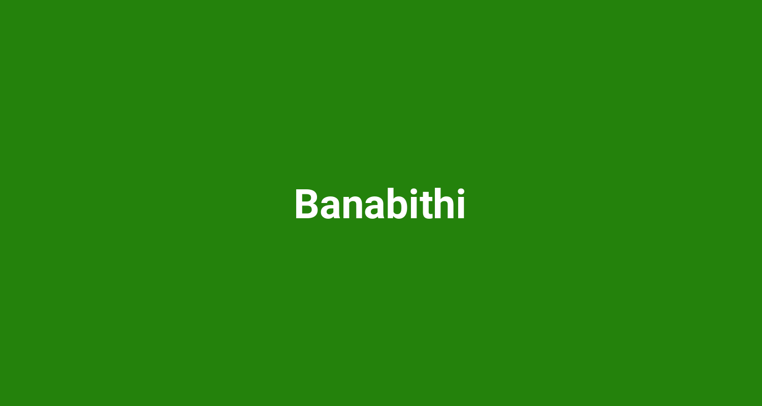 Banabithi