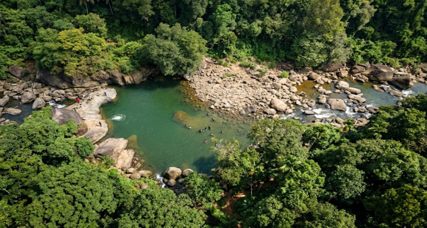 Pathangayam ( Narangathode ) Waterfalls