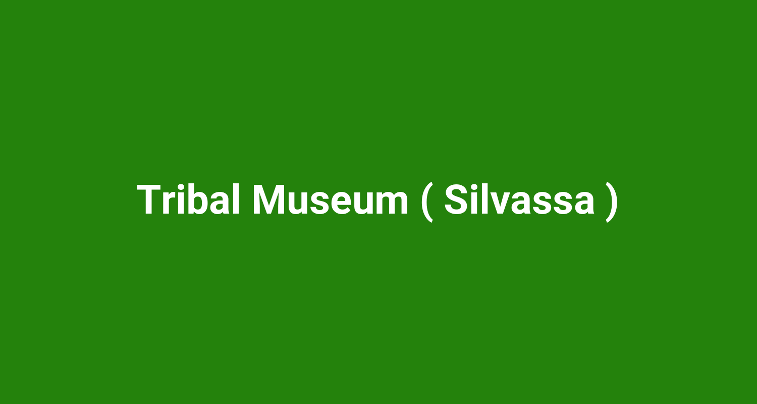 Tribal Museum ( Silvassa )