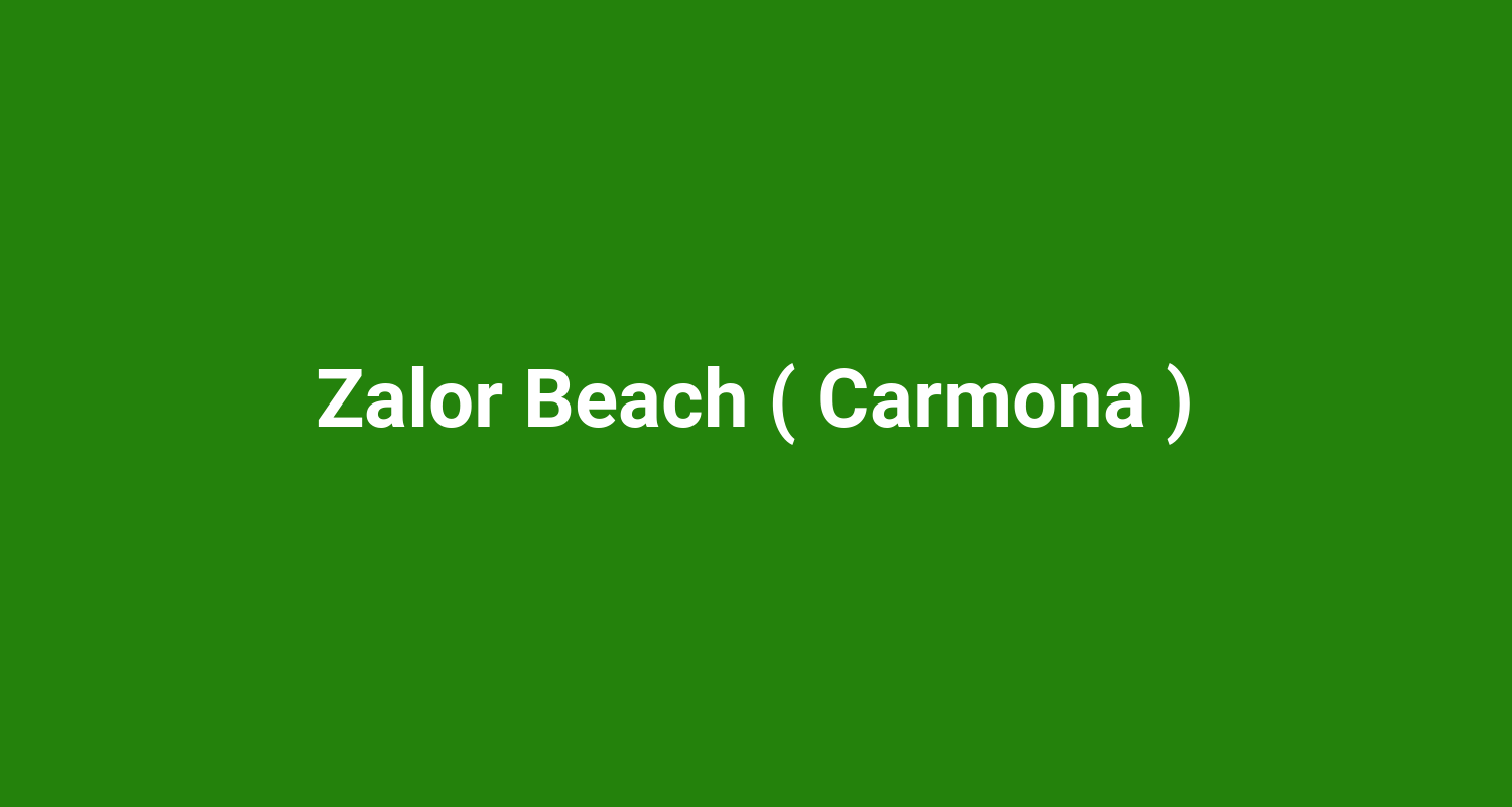 Zalor Beach ( Carmona )