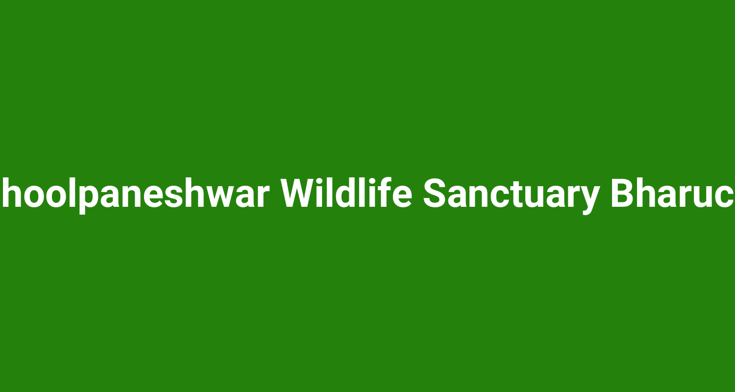 Shoolpaneshwar Wildlife Sanctuary Bharuch