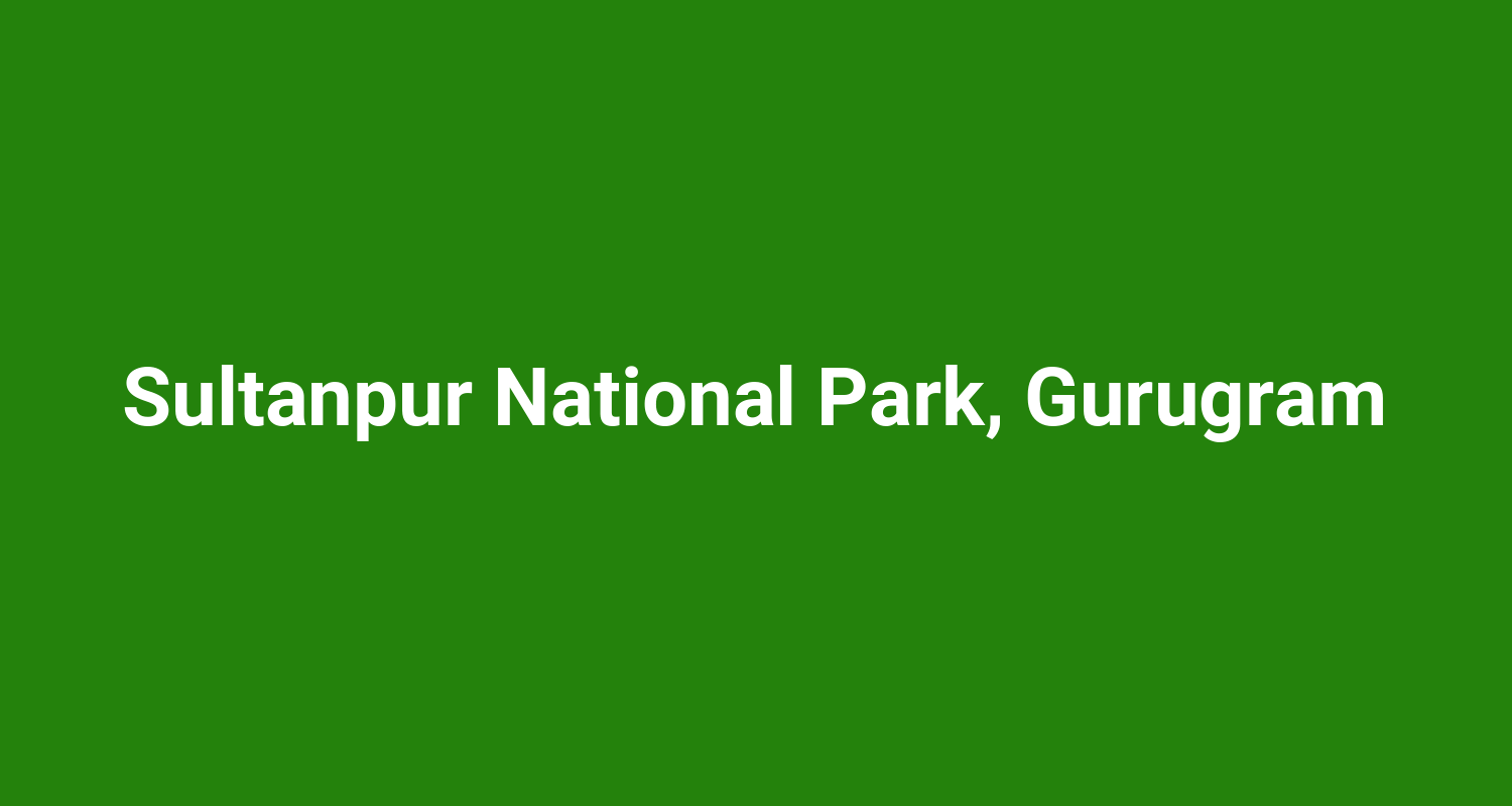 Sultanpur National Park, Gurugram