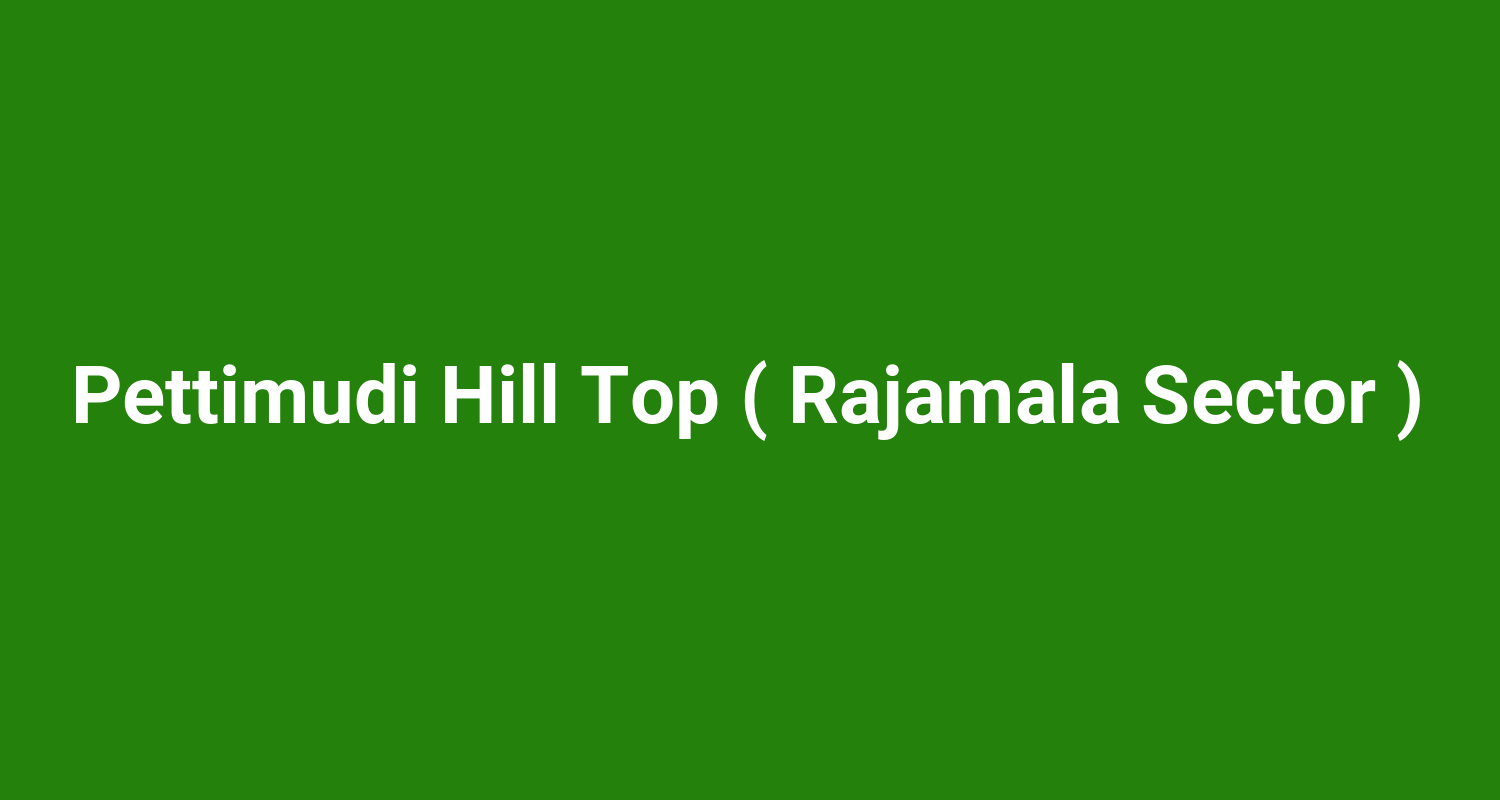 Pettimudi Hill Top ( Rajamala Sector )