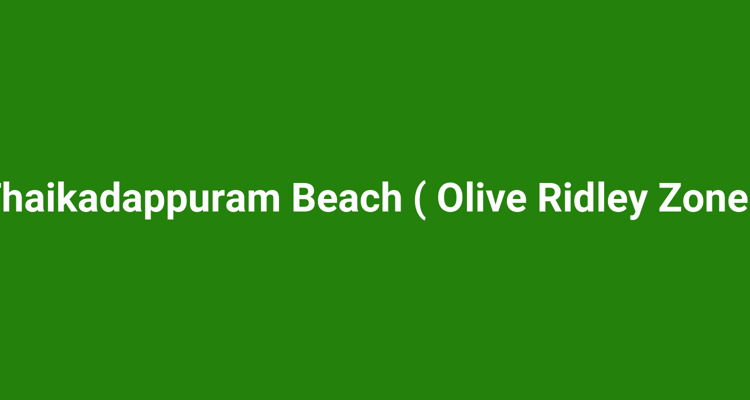 Thaikadappuram Beach ( Olive Ridley Zone )