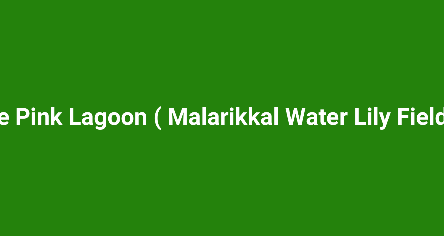 The Pink Lagoon ( Malarikkal Water Lily Fields )