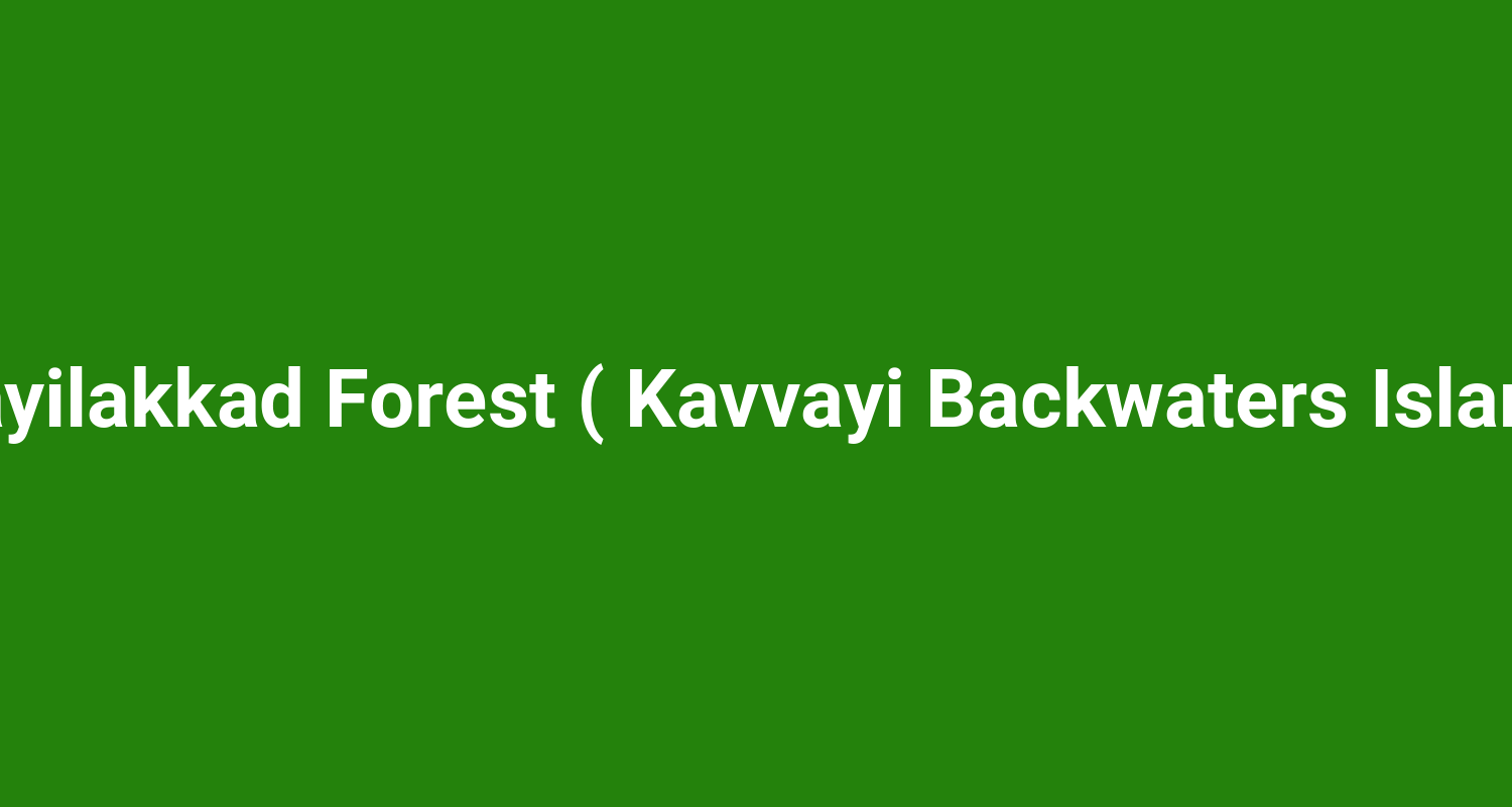 Edayilakkad Forest ( Kavvayi Backwaters Island )
