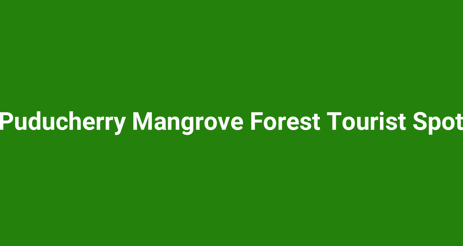 Puducherry Mangrove Forest Tourist Spot