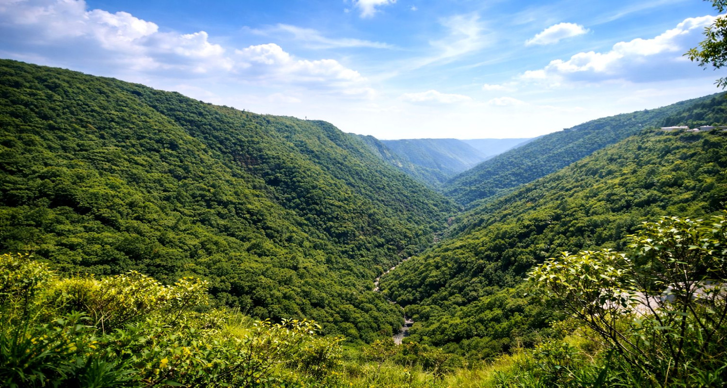 Mawkdok Dympep Valley View Point