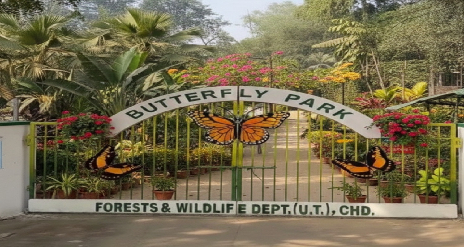 Butterfly Park