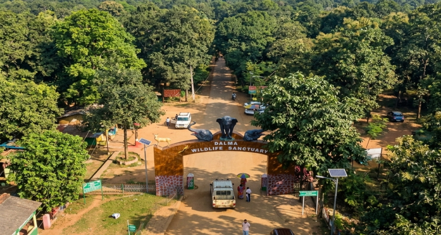Dalma Wildlife Sanctuary