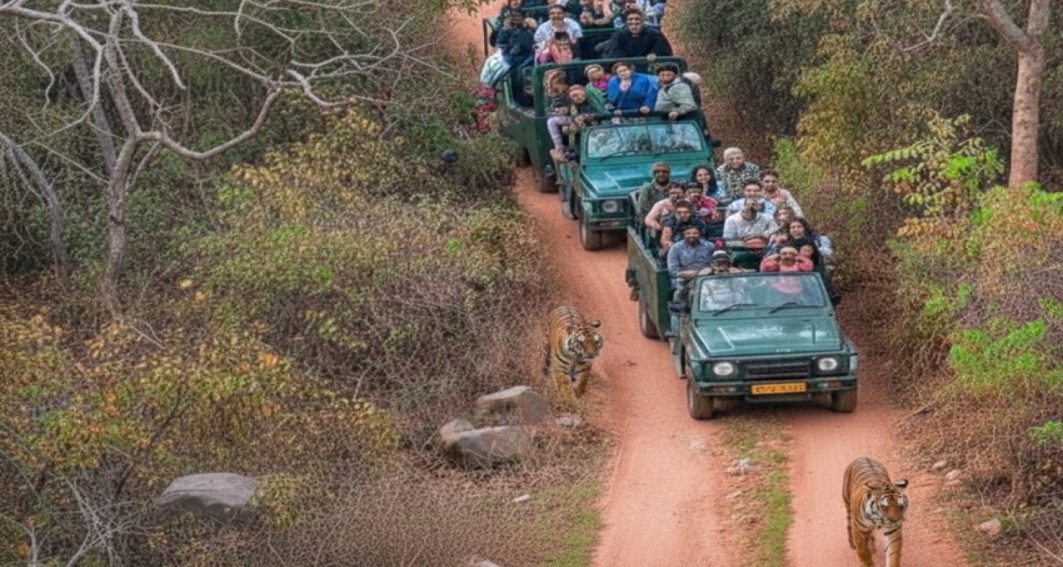 Ranthambore National Park