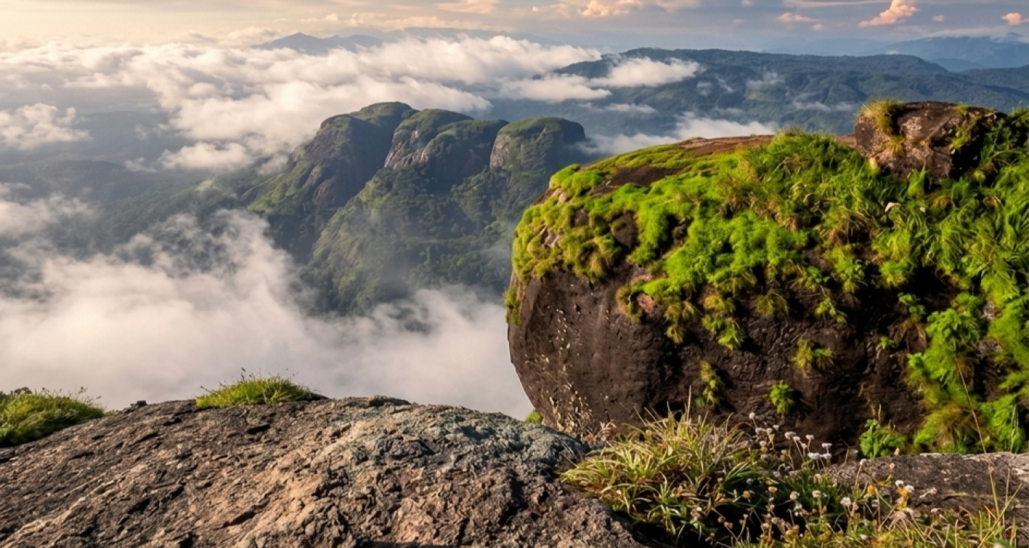 Pettimudi View Point